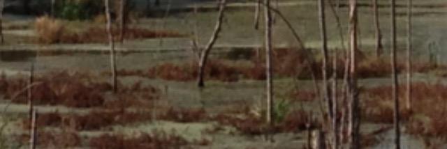 barcher88's profile banner image