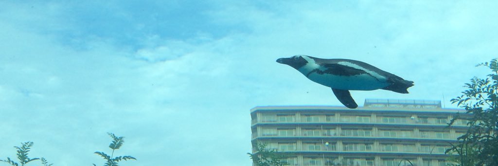 hdc2m's profile banner image