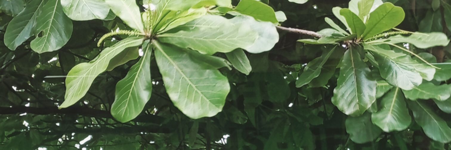 xxyabcde's profile banner image