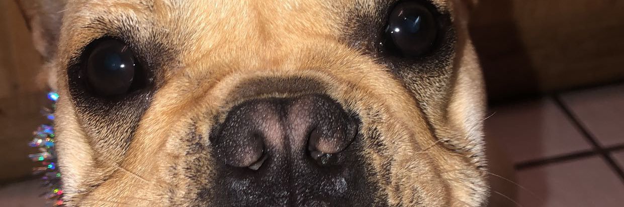 WhitneyyyHope's profile banner image