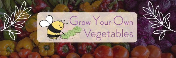 GYOVOfficial Profile Banner