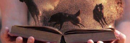 keremteloren's profile banner image