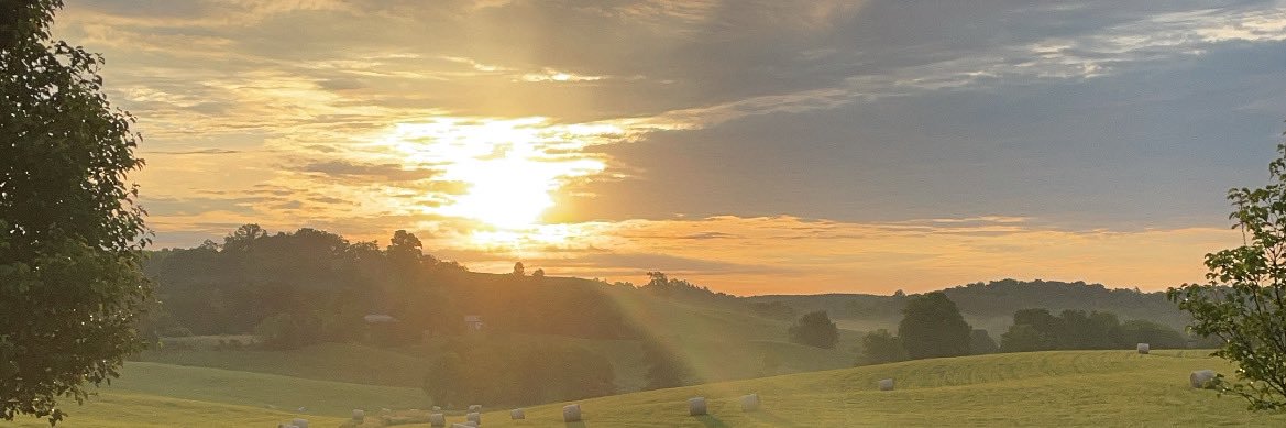 Madison_Maynard's profile banner image
