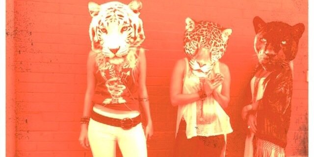CarliManchaca's profile banner image