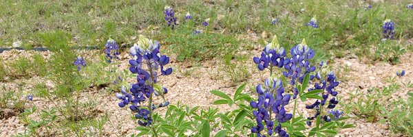 CTXLibrary Profile Banner