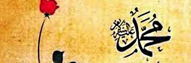 UlEdeb's profile banner image