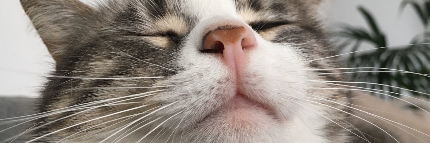 LocoQueCorre❤️🤍❤️🤍❤️🤍 banner