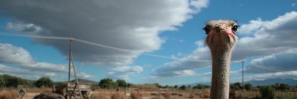 JHWeissmann Profile Banner