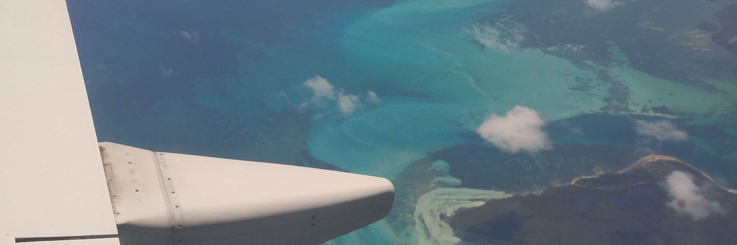 Manda Fernandes banner
