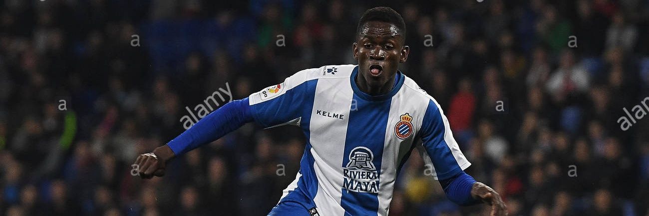 Don Fofistuta#14 banner