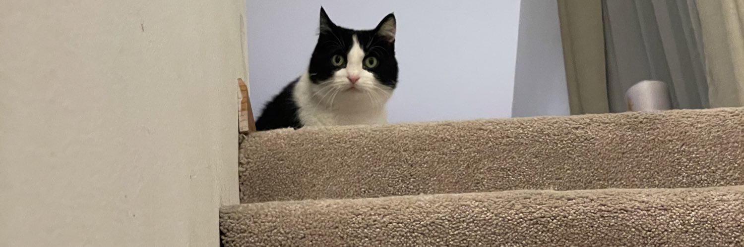 Penjamin Cool banner