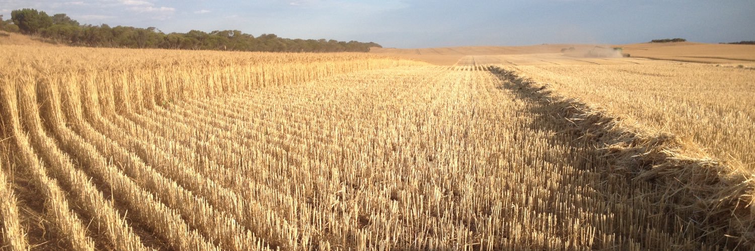 Lubin Stringer banner