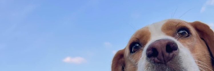 tatanikaka's profile banner image