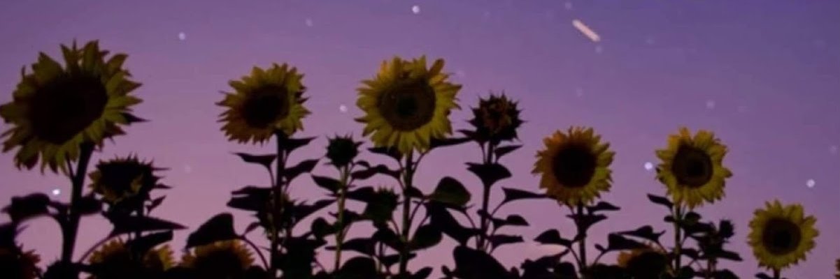 danigarvire's profile banner image