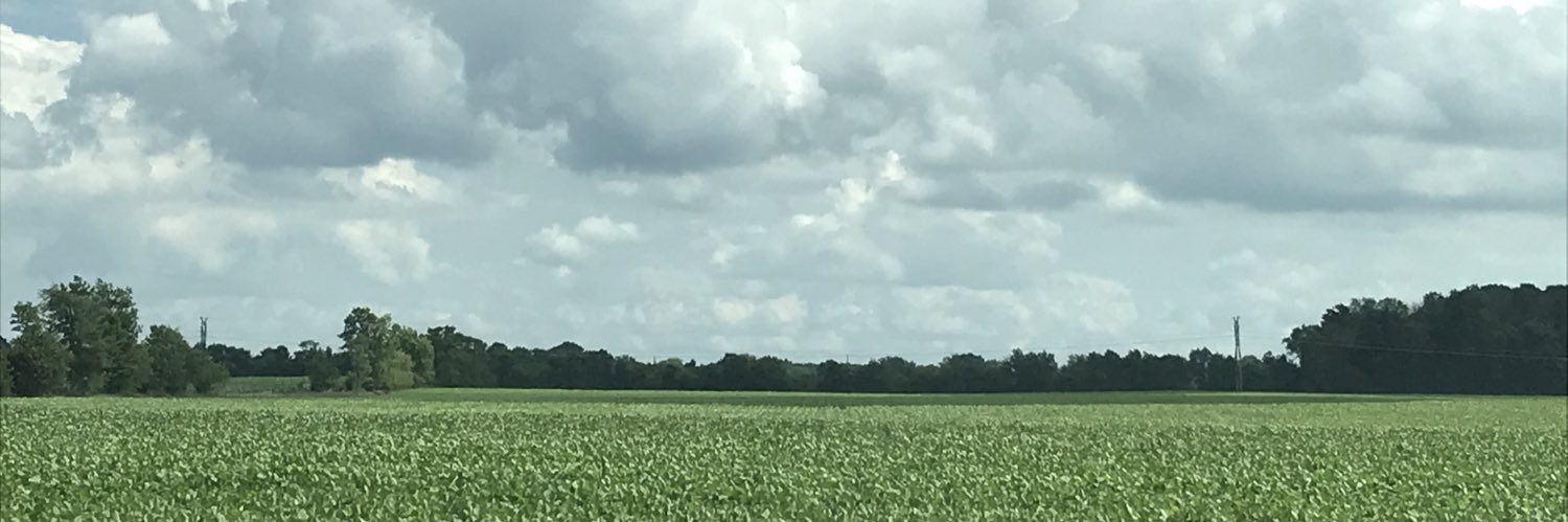 laholaday's profile banner image