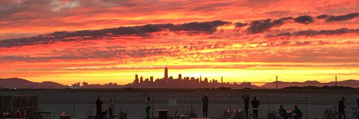 Faction Brewing banner