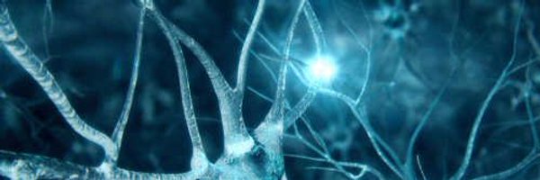 ECGTalk Profile Banner