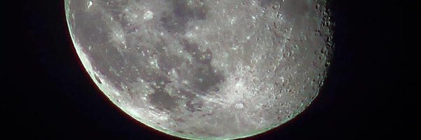 kalaskarlab Profile Banner