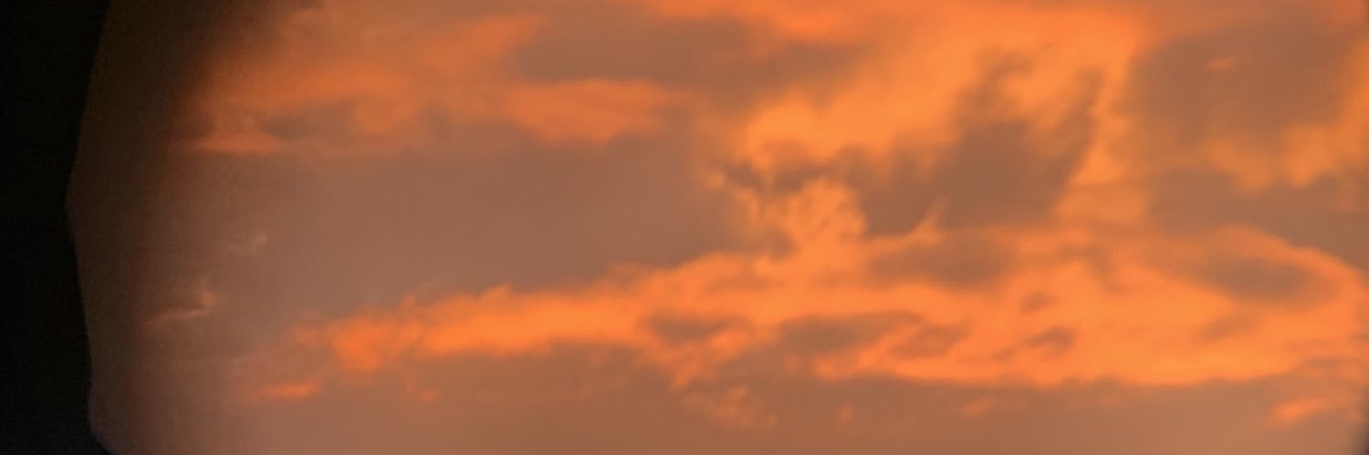 dannnykins's profile banner image