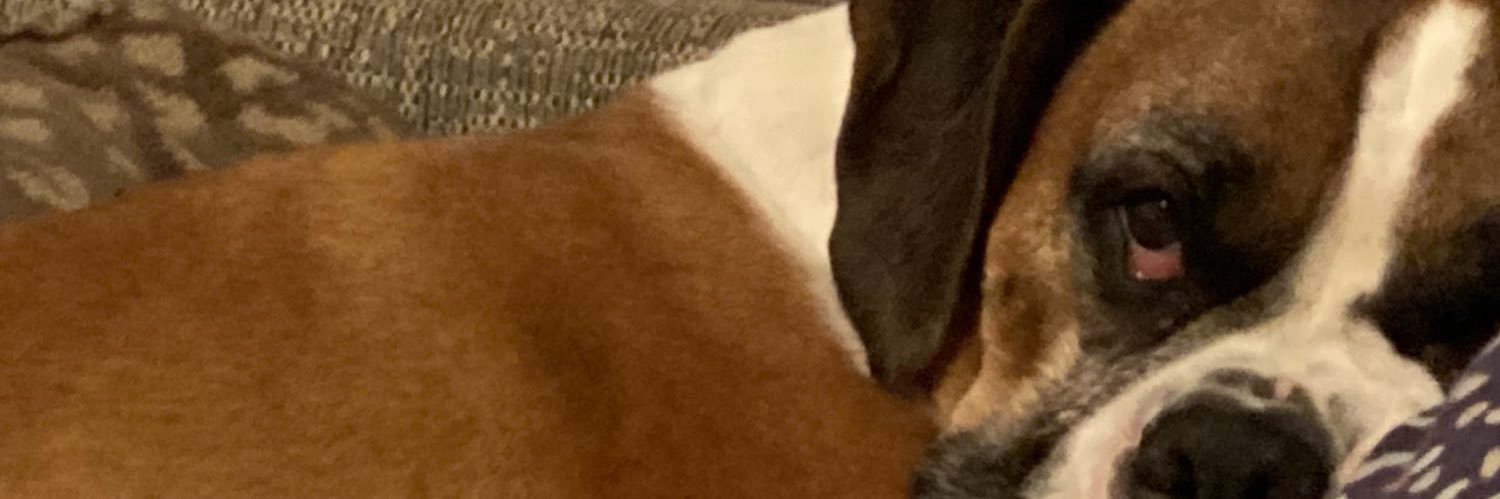 Rebeccahuckle1's profile banner image