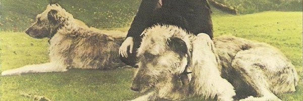 Zoog5's profile banner image