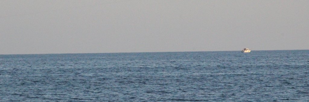 Albert Blanco banner