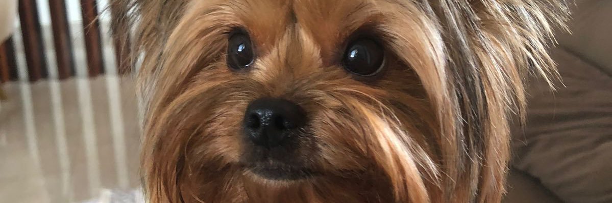 JuliaEmanuelle4's profile banner image