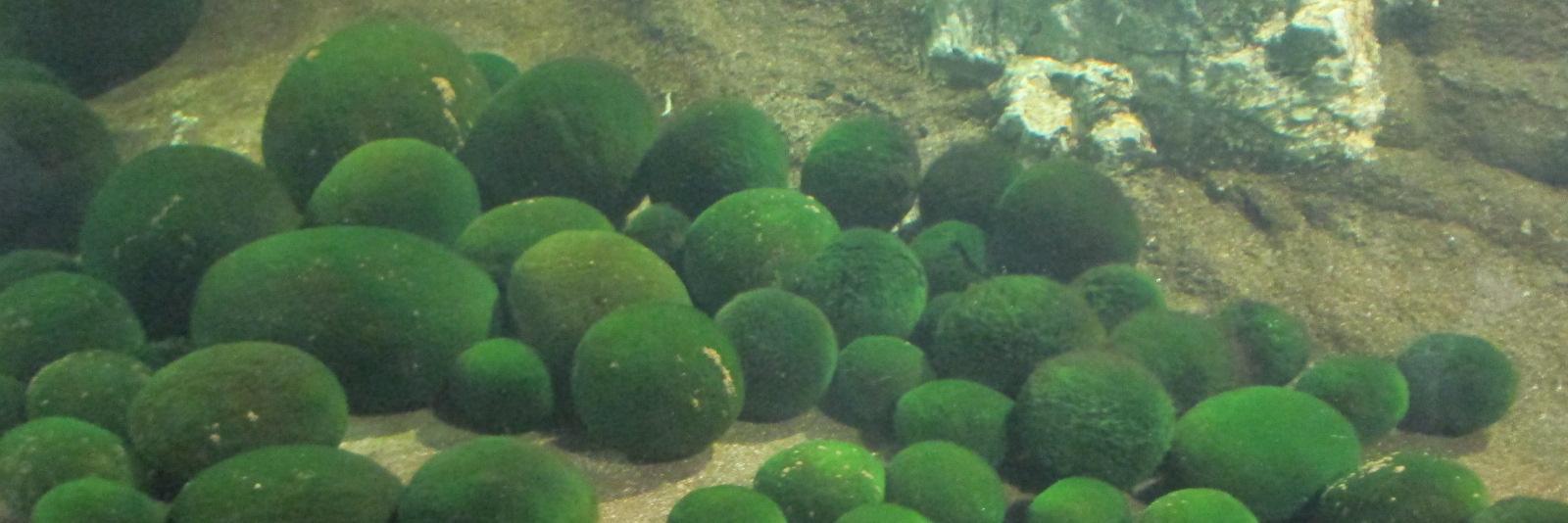 醸造業 担当 banner