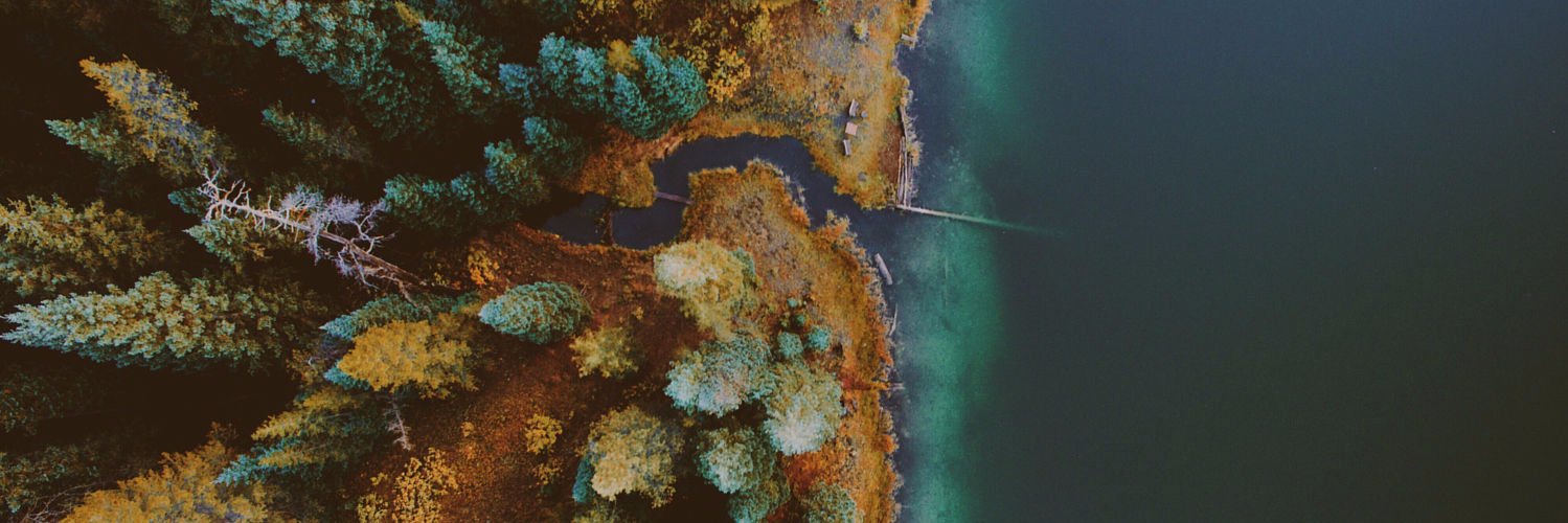 prohikes's profile banner image