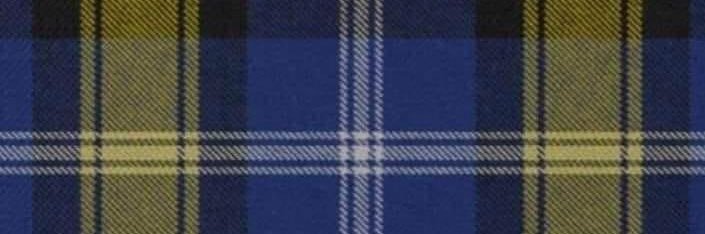 Fiona banner