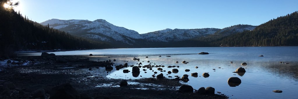 Alexandria Cannito banner