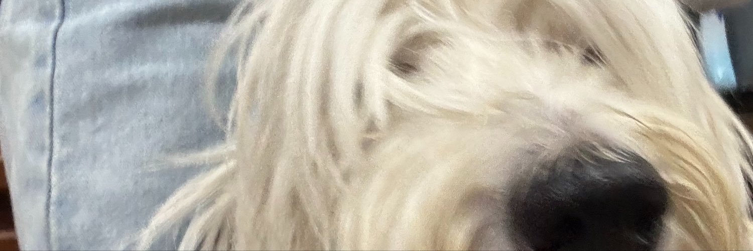 heyitshann_'s profile banner image