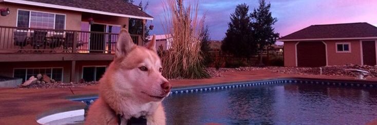 CaptainMatty24's profile banner image