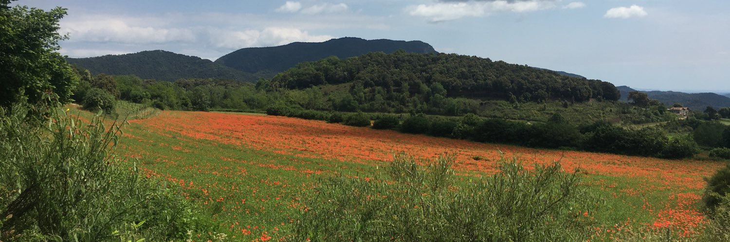 Marta Barrachina banner
