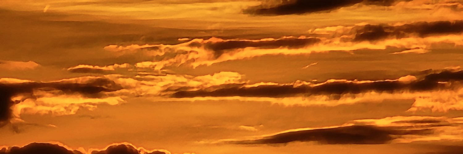 king.lee91 banner