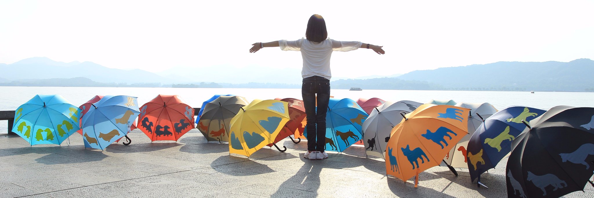 sfumbrellaco's profile banner image