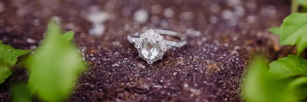 Haliey_Rose's profile banner image