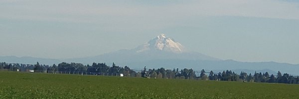 josh_schilling Profile Banner