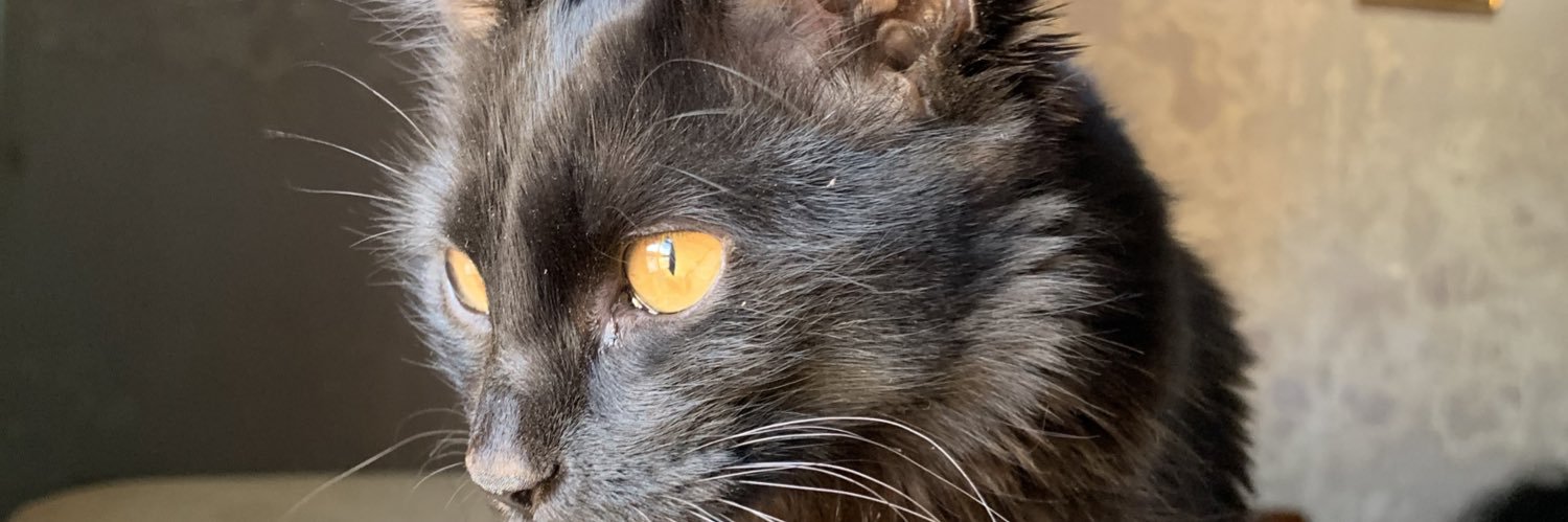 widattallah's profile banner image