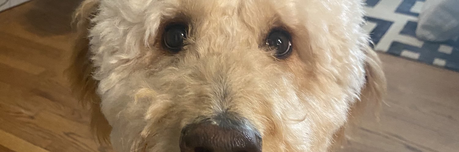 HunterBrooks94's profile banner image