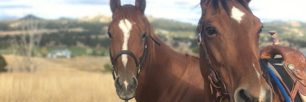 Mttater's profile banner image