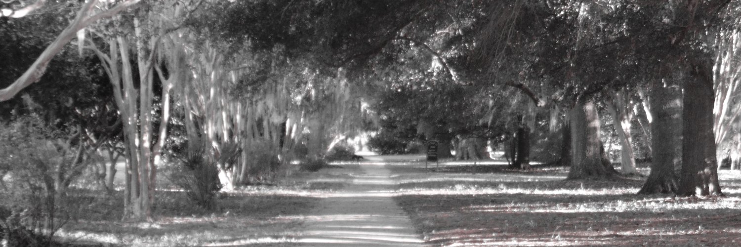DavidBrice45's profile banner image