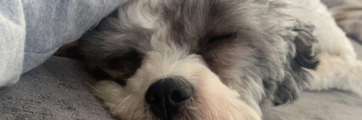 kerisbrady's profile banner image