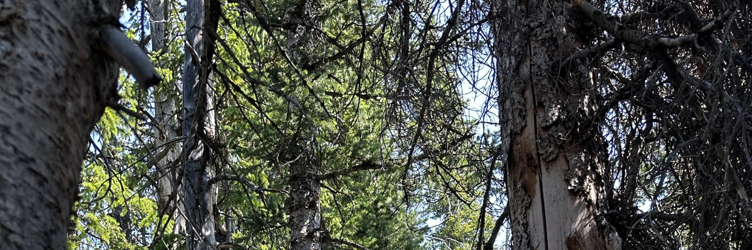 rileyrspear's profile banner image