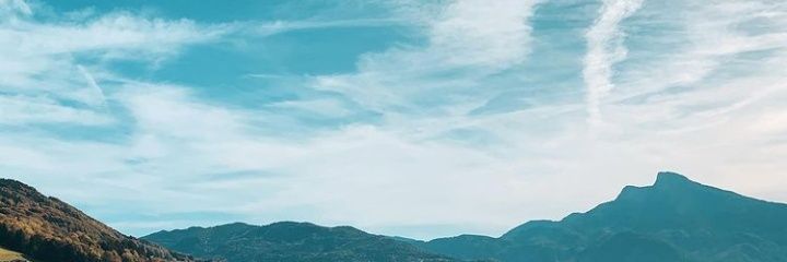 pau banner