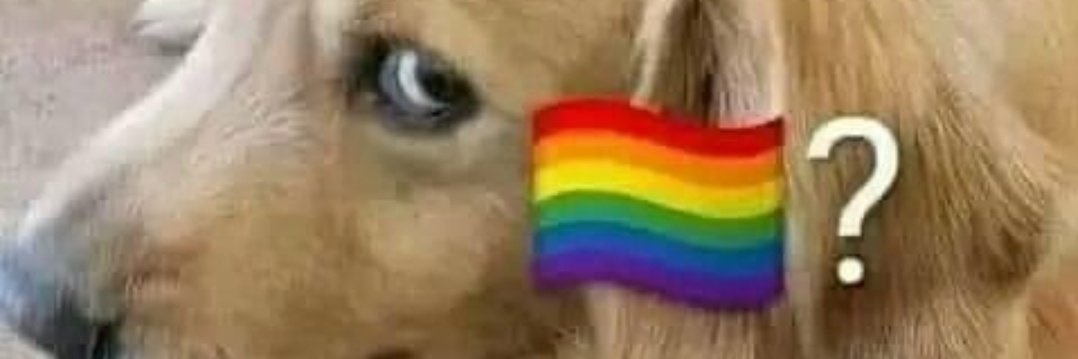 lucas 🇦🇷 banner