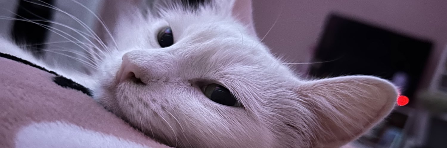 xovanxssa's profile banner image