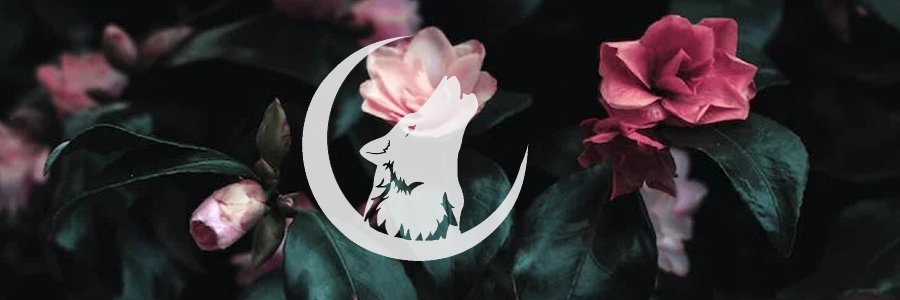 QueenBelikov🌺's banner