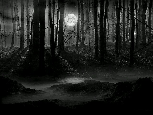 diemools's profile banner image