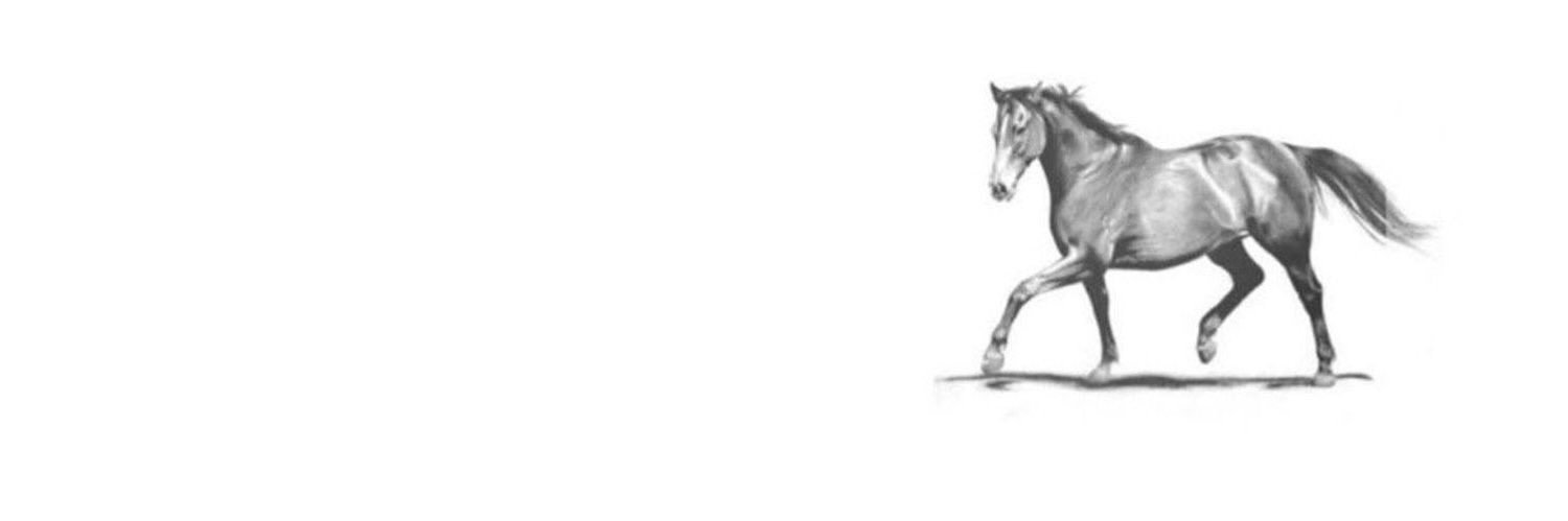 hayafaleh's profile banner image